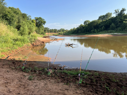 Lake Thunderbird fishing – catfish galore!